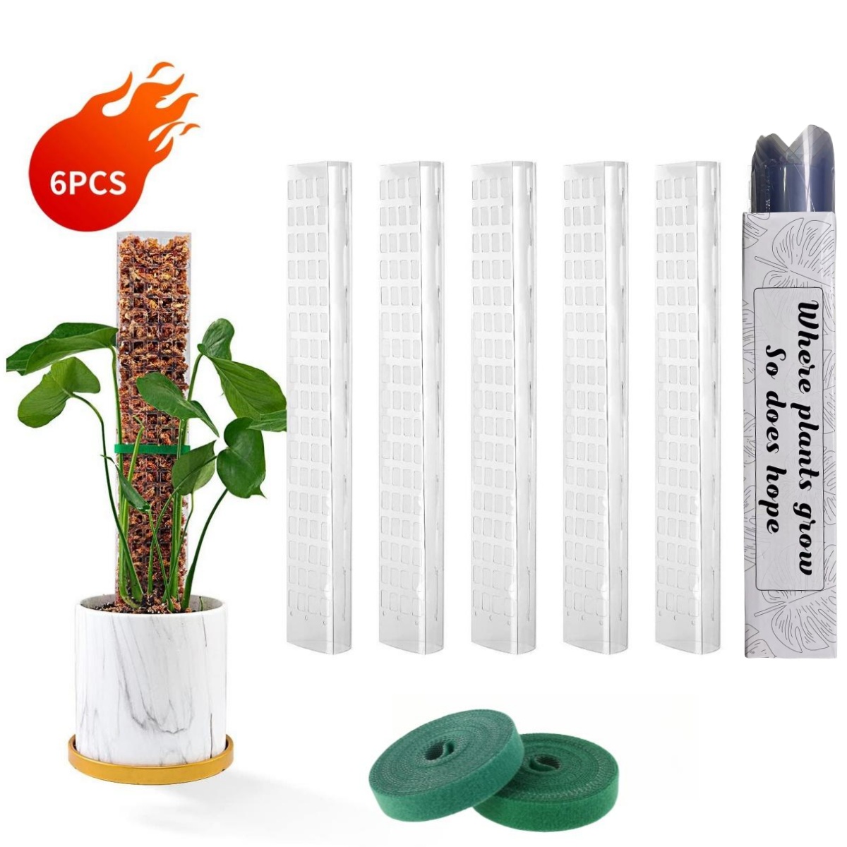 Moss Poles Plants Plant Suppor - Echeveria Succulent recensione e prezzo