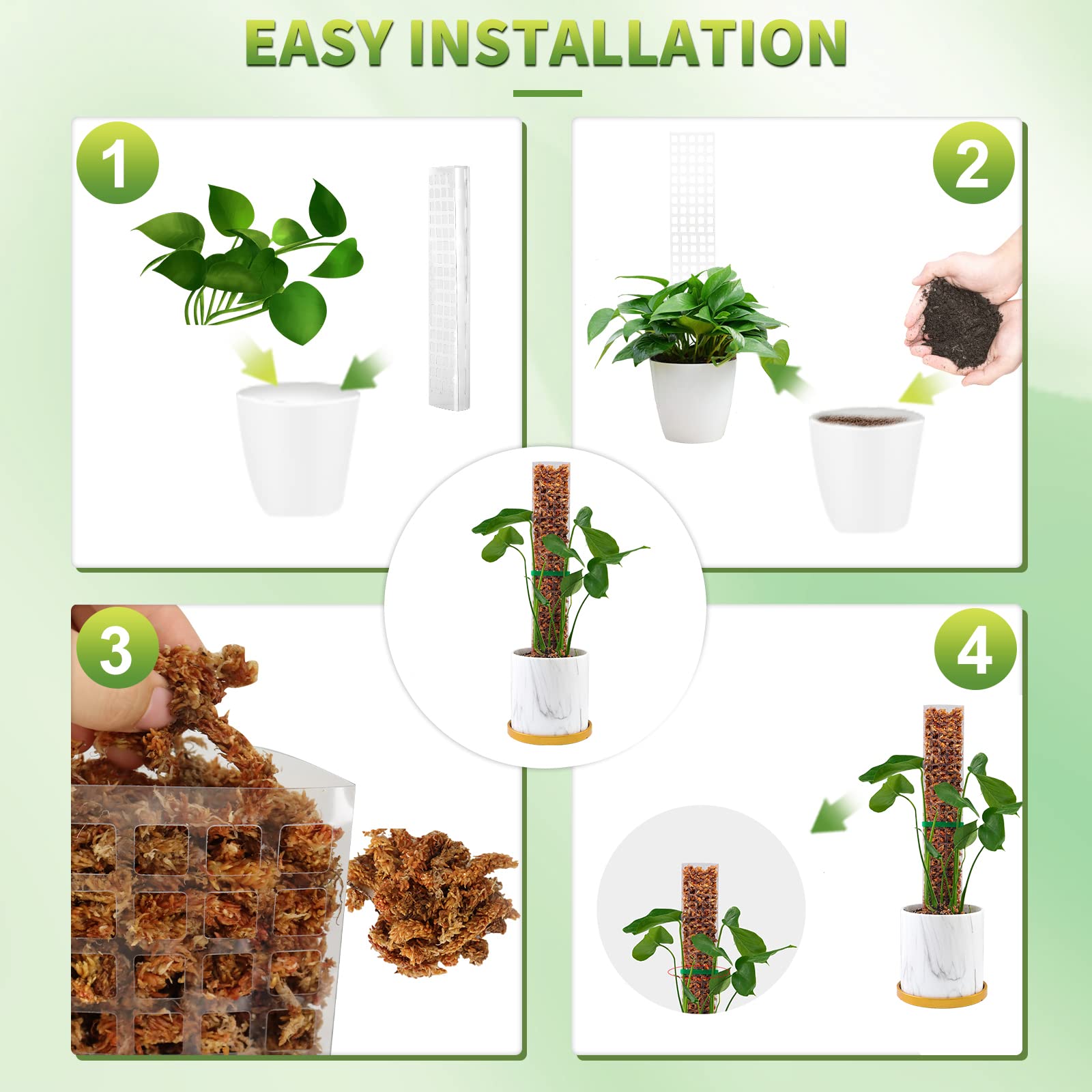 Moss Poles Plants Plant Suppor - Echeveria Succulent recensione e prezzo