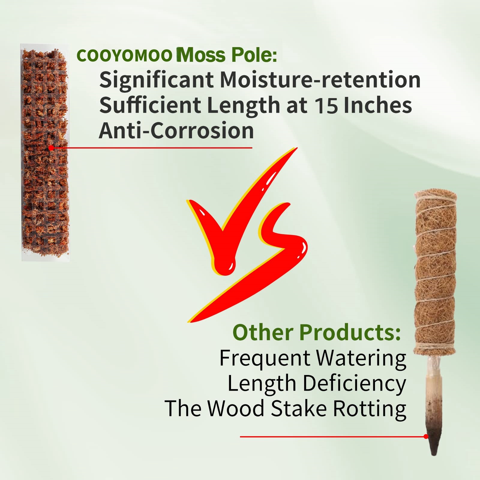 Moss Poles Plants Plant Suppor - Echeveria Succulent recensione e prezzo