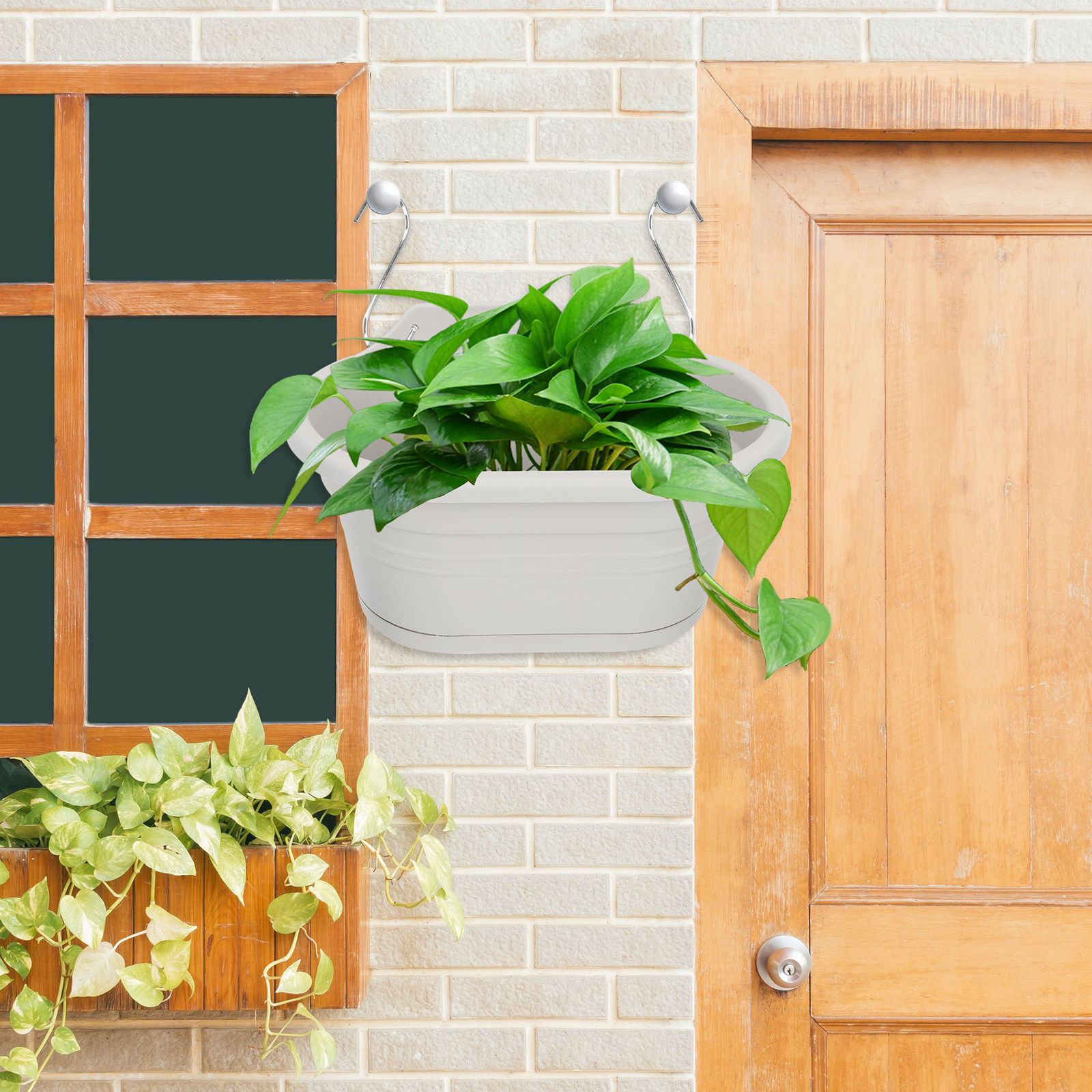 1Set Wall Hanging Flower Pot S - Spider Plant Hanging recensione e prezzo