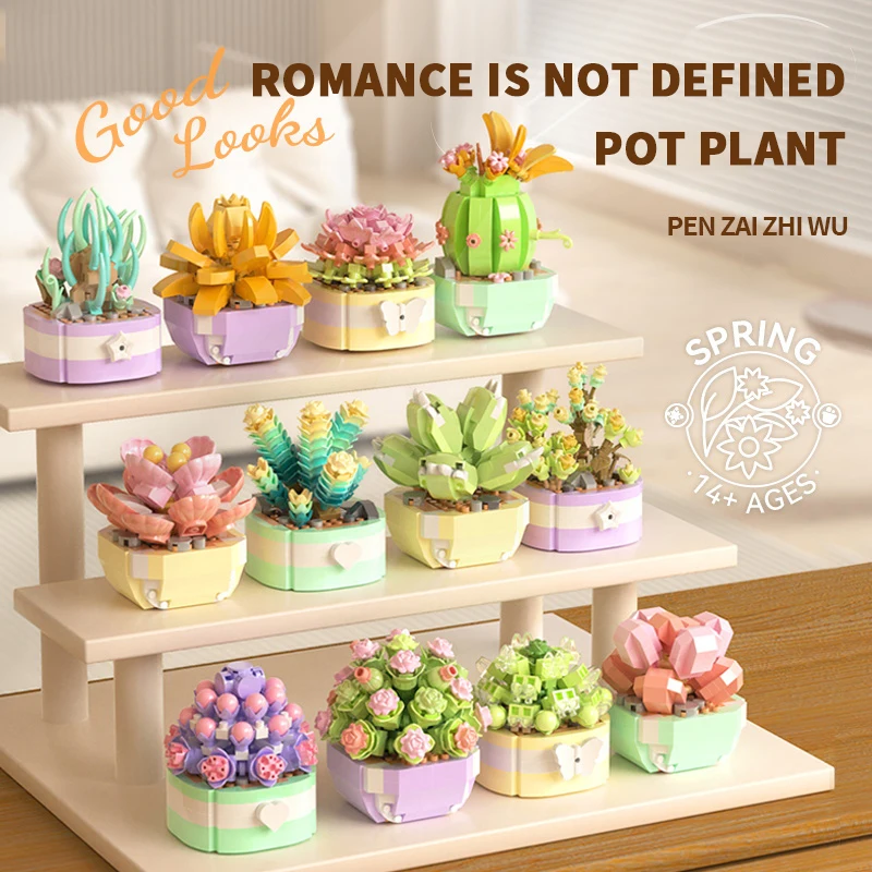 Flower Succulents Building Blo - Echeveria Succulent recensione e prezzo