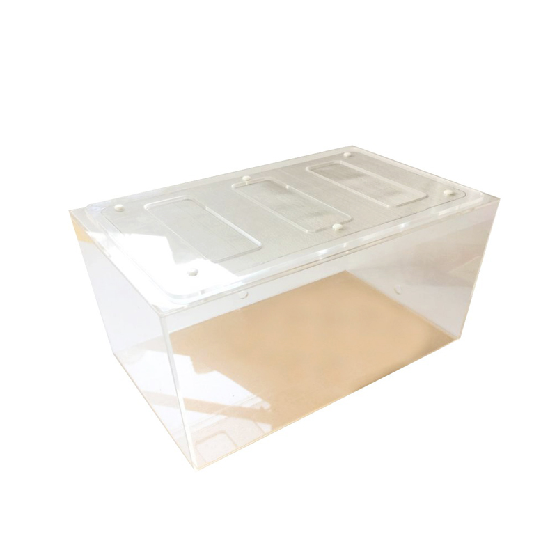 Acrylic Finished Seamless Ant  - Begonia Rex recensione e prezzo