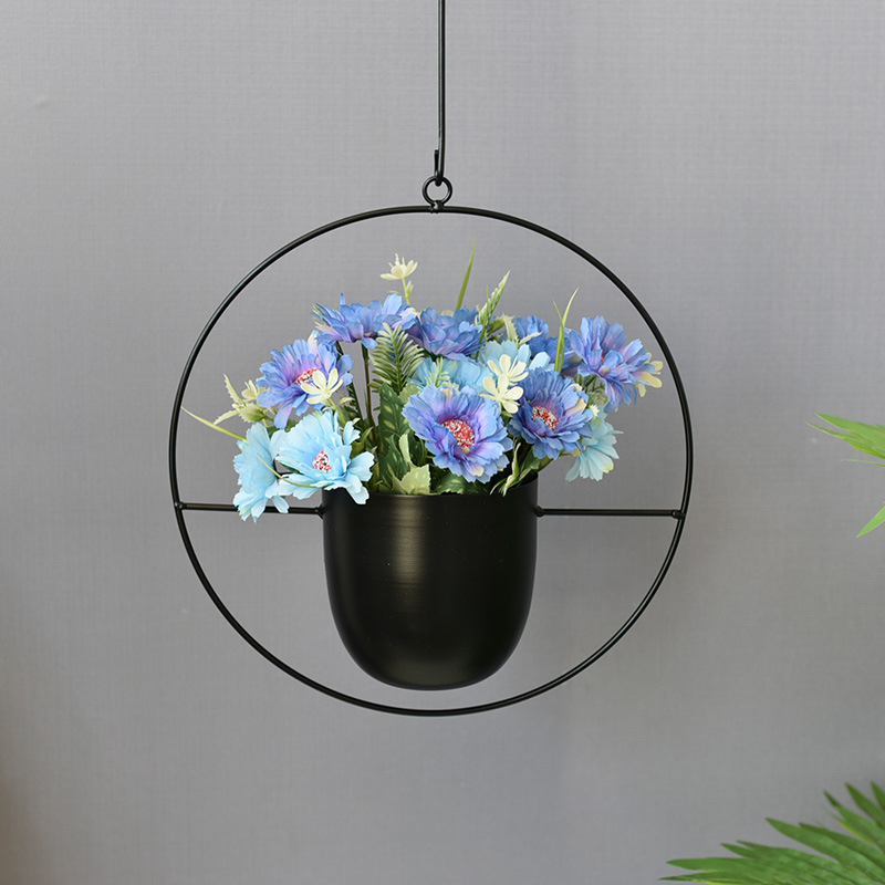 Wrought Iron Hanging Planter E - Spider Plant Hanging recensione e prezzo