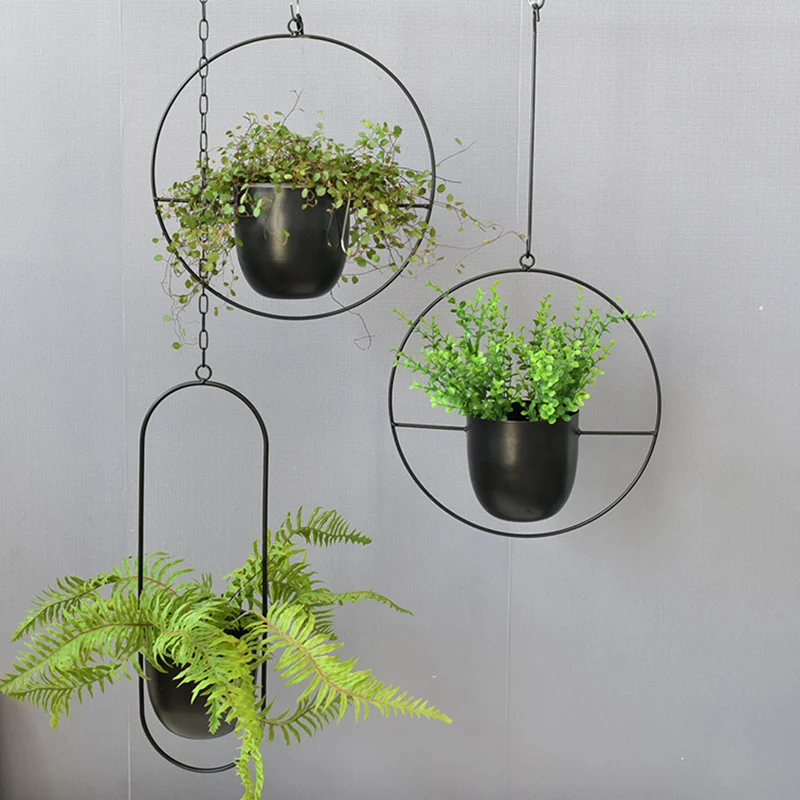 Wrought Iron Hanging Planter E - Spider Plant Hanging recensione e prezzo