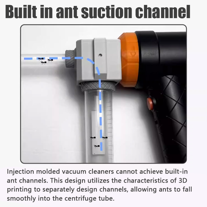 Ant Farm Collection Tool Ants  - Begonia Rex recensione e prezzo