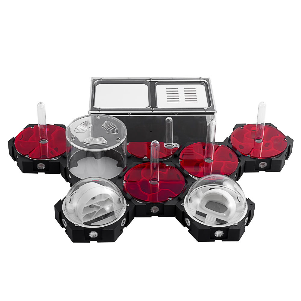 3D Printing Ant Farm Infinitel - Begonia Rex recensione e prezzo