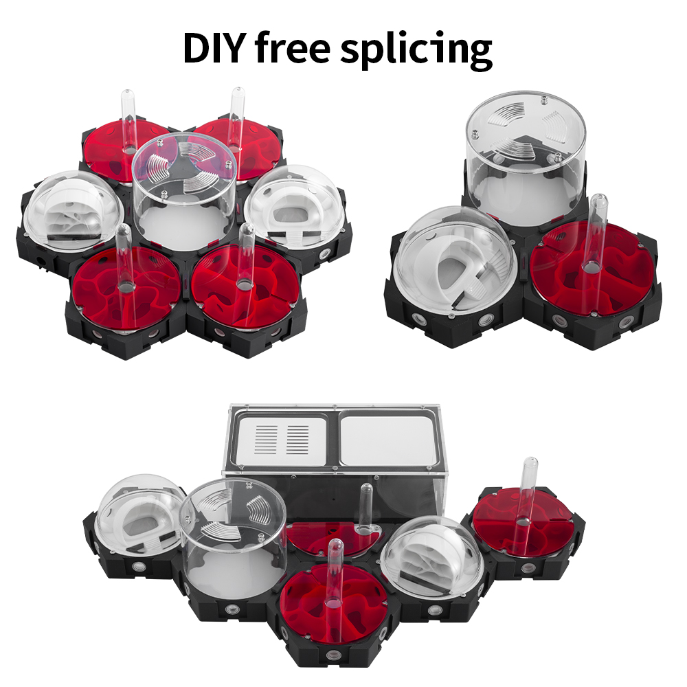 3D Printing Ant Farm Infinitel - Begonia Rex recensione e prezzo