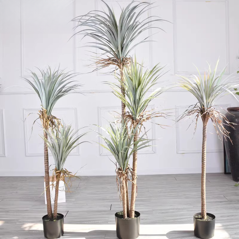 Dragon Blood Yucca Artificial  - Dracaena Marginata recensione e prezzo