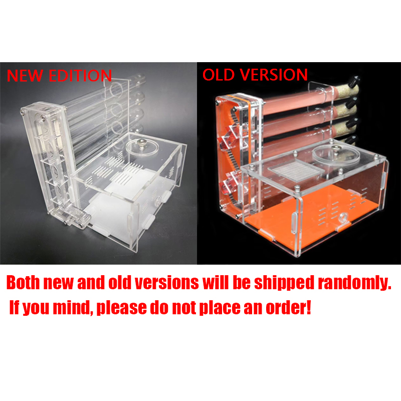 DIY Acrylic Ant Farm 5 pcs 18- - Begonia Rex recensione e prezzo