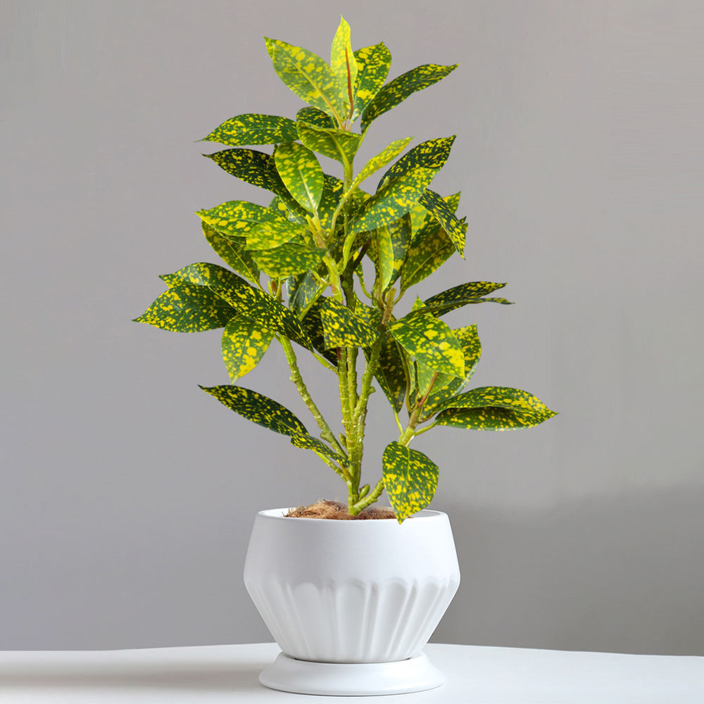 24-41cm Artificial Ficus Tree  - Ficus Lyrata Tree recensione e prezzo