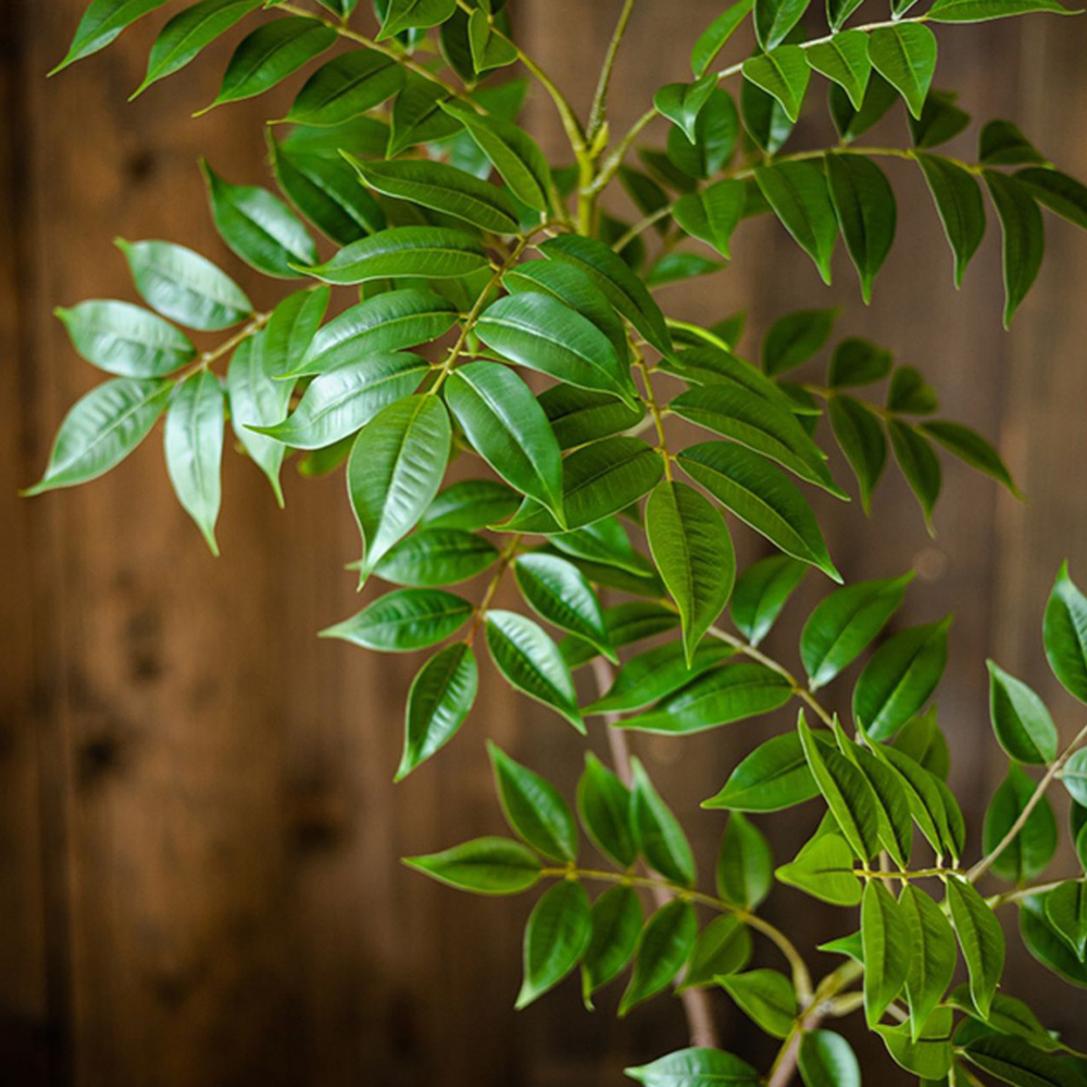 76-140cm Large Artificial Ficu - Ficus Lyrata Tree recensione e prezzo