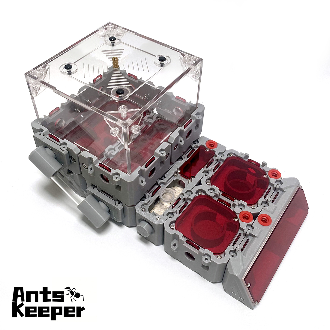 【Lego】Expandable Modular Formi - Begonia Rex recensione e prezzo