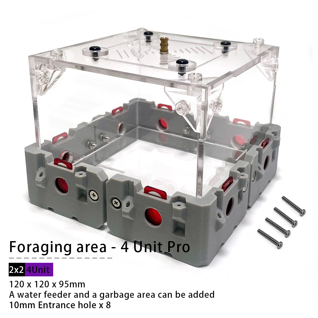 【Lego】Expandable Modular Formi - Begonia Rex recensione e prezzo
