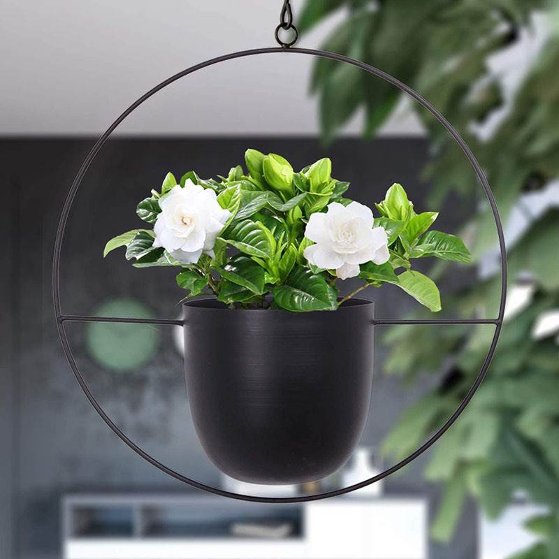 Hanging Iron Art Plant Pots Ba - Spider Plant Hanging recensione e prezzo