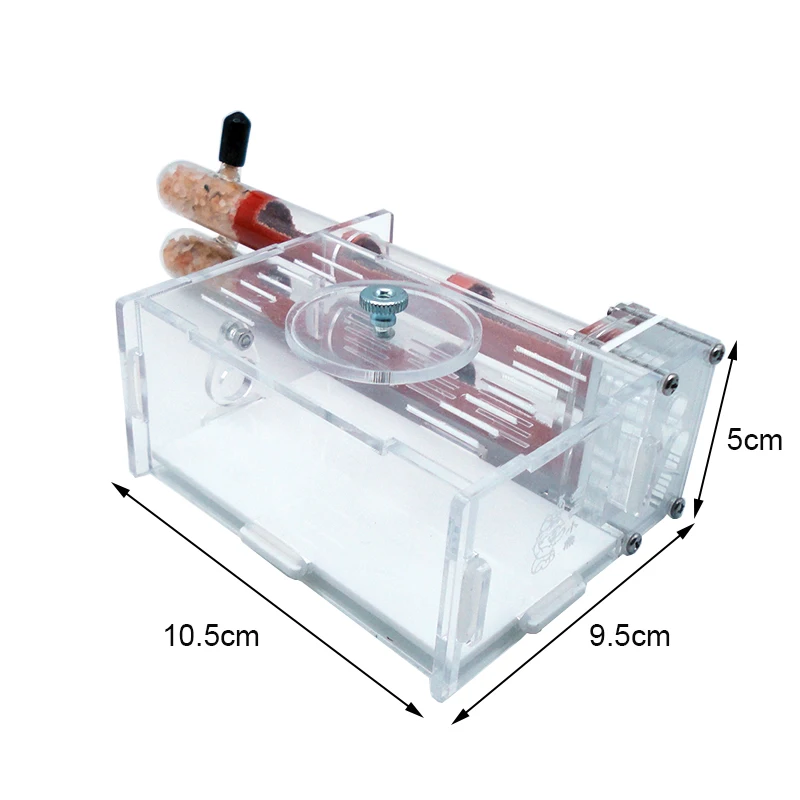 DIY Ant Farm 2 pcs 18-180mm Gy - Begonia Rex recensione e prezzo