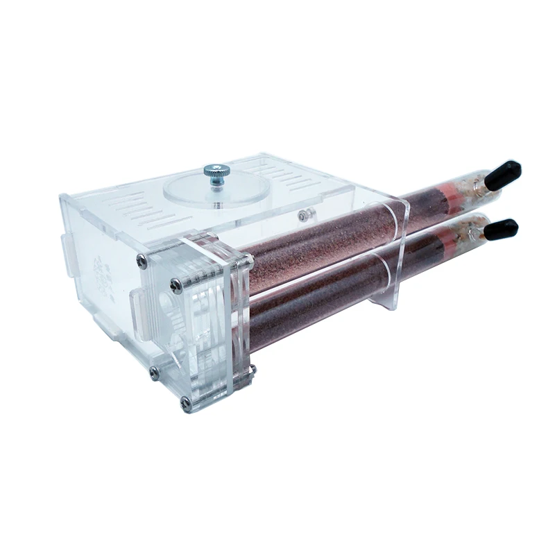 DIY Ant Farm 2 pcs 18-180mm Gy - Begonia Rex recensione e prezzo