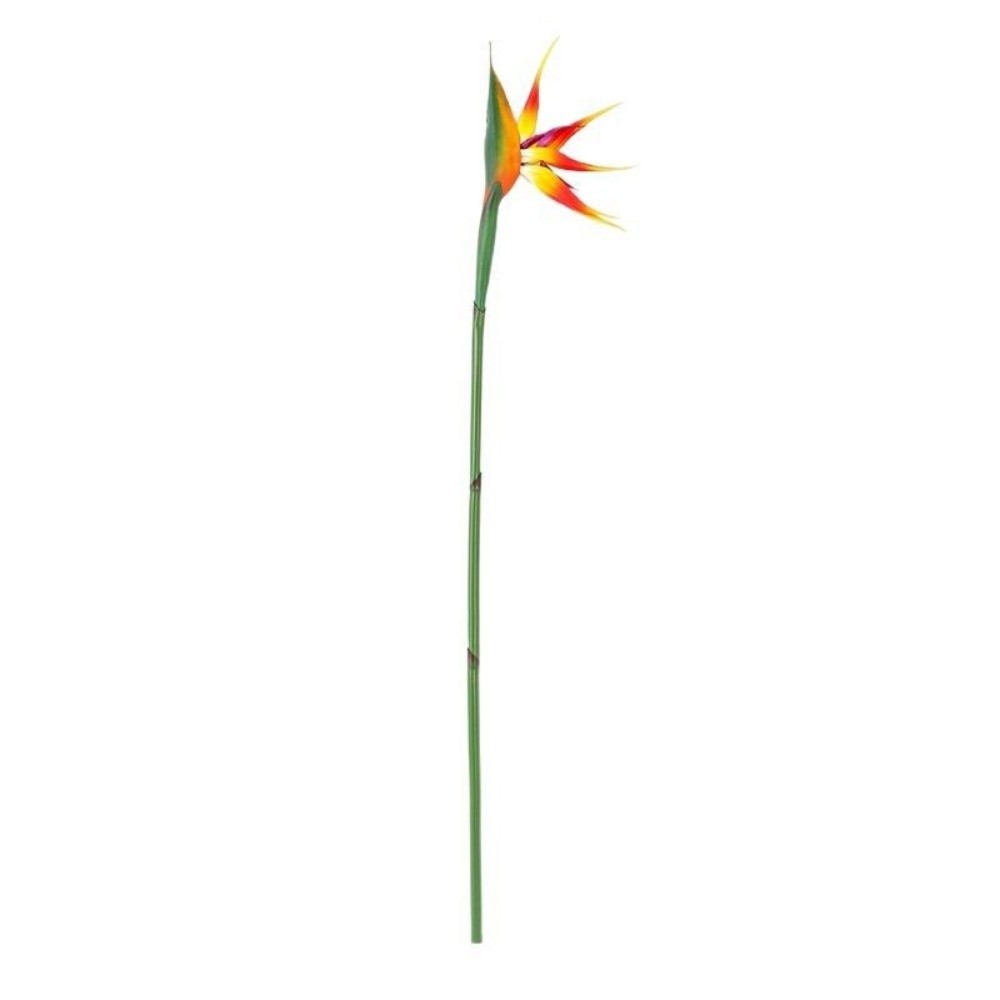Long Stem Artificial Bird of P - Bird Paradise Strelitzia recensione e prezzo