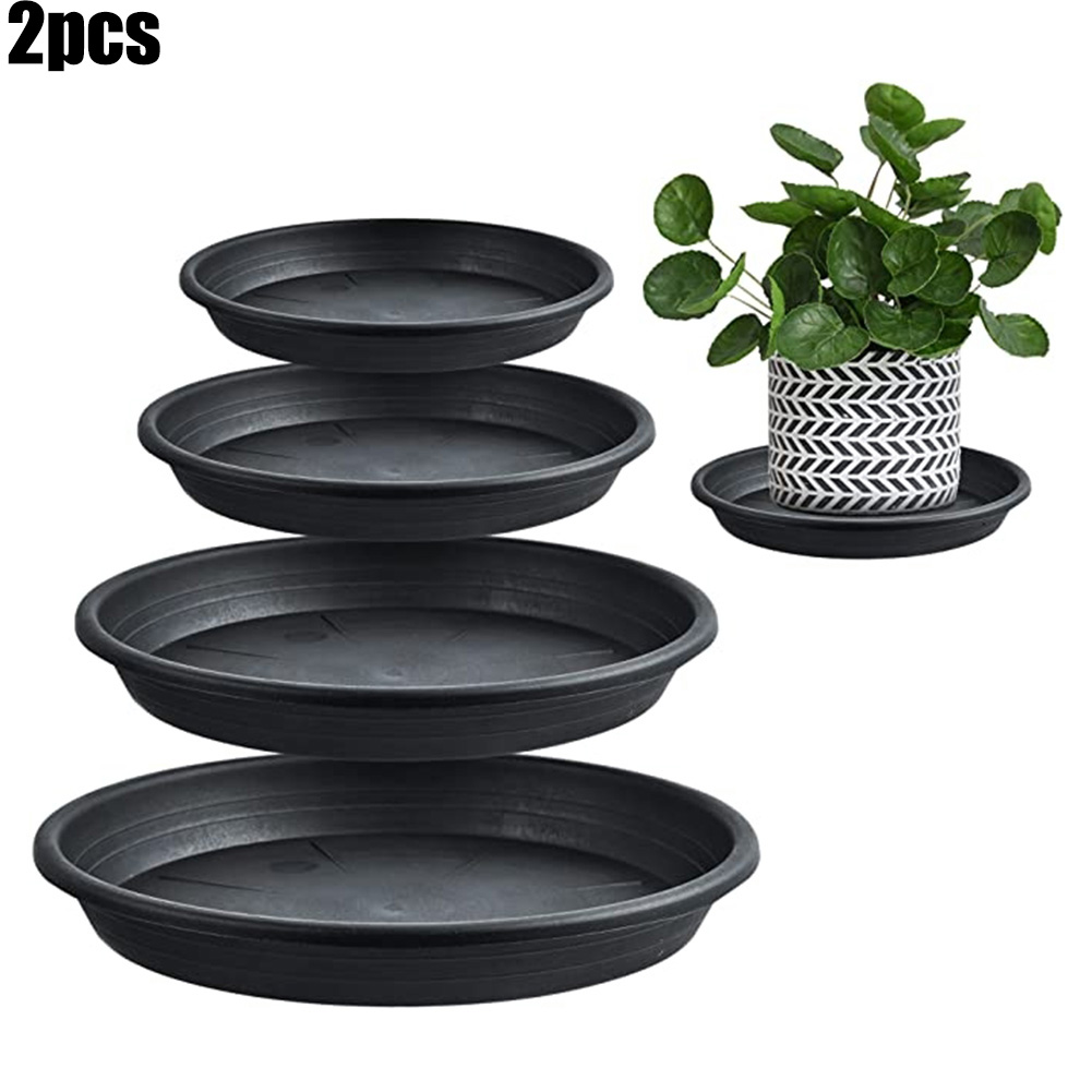 2pcs Plant Trays Round Succule - Echeveria Succulent recensione e prezzo