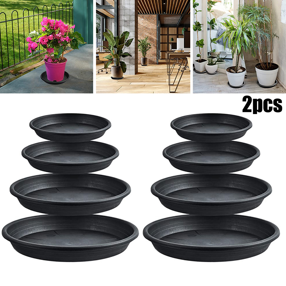 2pcs Plant Trays Round Succule - Echeveria Succulent recensione e prezzo