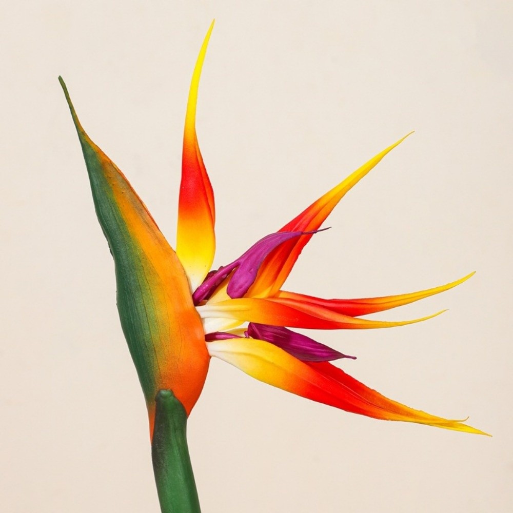 Long Stem Artificial Bird of P - Bird Paradise Strelitzia recensione e prezzo