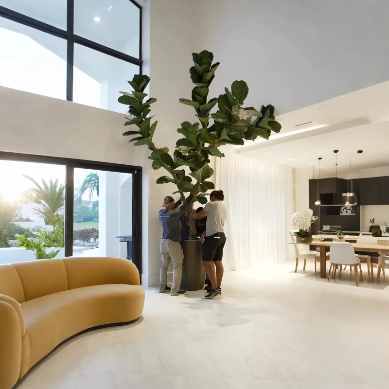Artificial Plants Indoor Potte - Ficus Lyrata Tree recensione e prezzo
