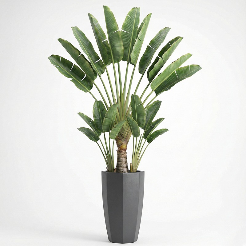 High-Simulation Plastic Fiddle - Ficus Lyrata Tree recensione e prezzo