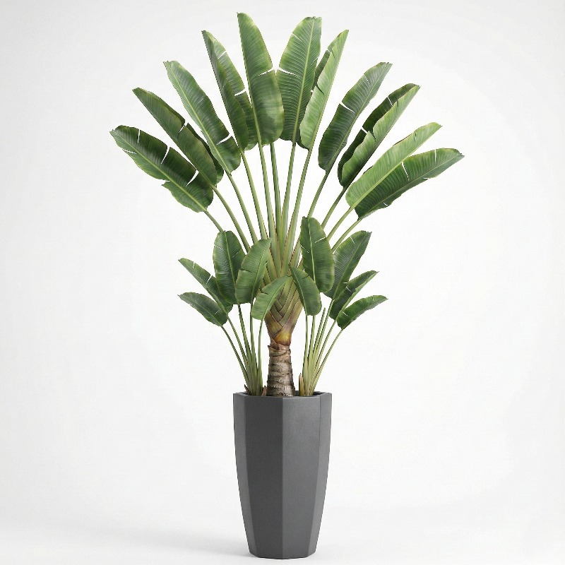 High-Simulation Plastic Fiddle - Ficus Lyrata Tree recensione e prezzo