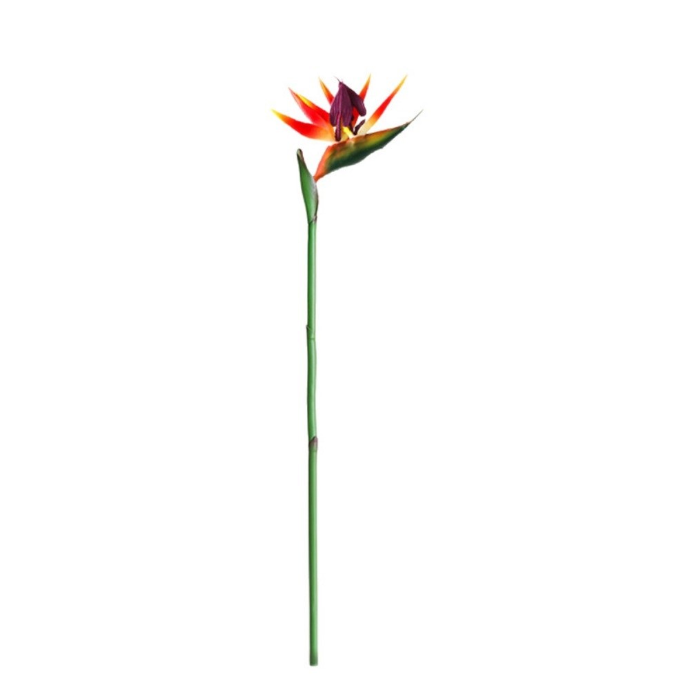 Long Stem Artificial Bird of P - Bird Paradise Strelitzia recensione e prezzo