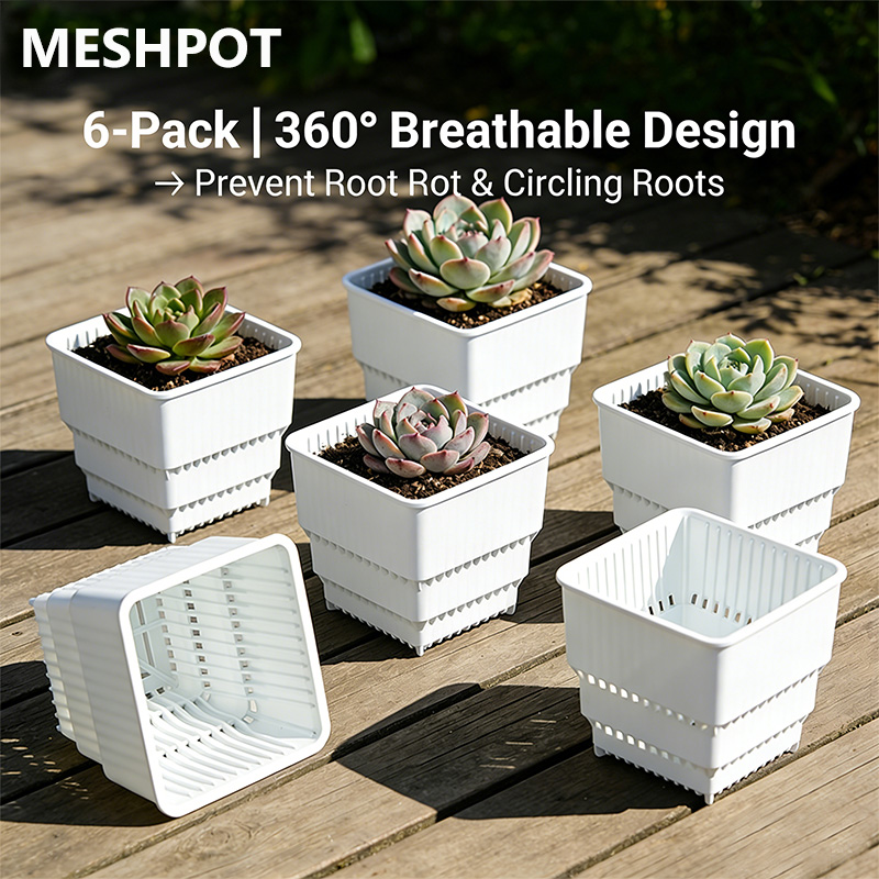 MESHPOT 6-Pack Square Pots for - Echeveria Succulent recensione e prezzo