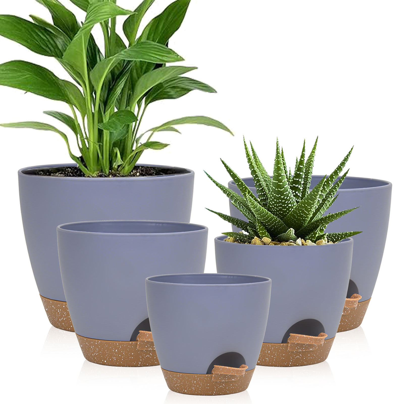 5piece Indoor Flower Pots With - Aloe Vera Pot recensione e prezzo