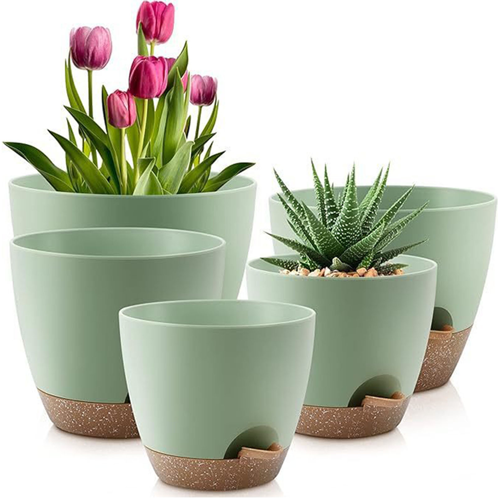 5piece Indoor Flower Pots With - Aloe Vera Pot recensione e prezzo