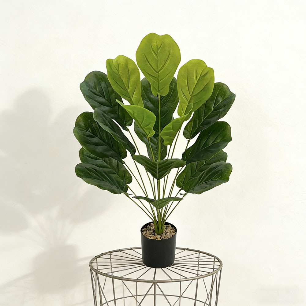 1pc of 75cm Artificial Ficus L - Ficus Lyrata Tree recensione e prezzo