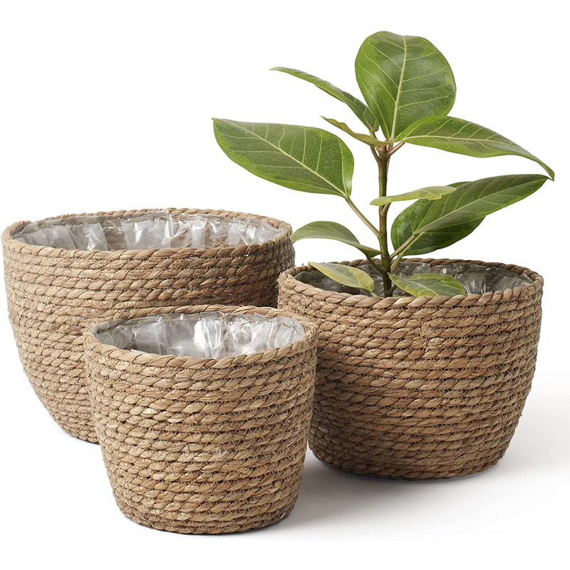 Natural Woven Flower Basket St - Aloe Vera Pot recensione e prezzo