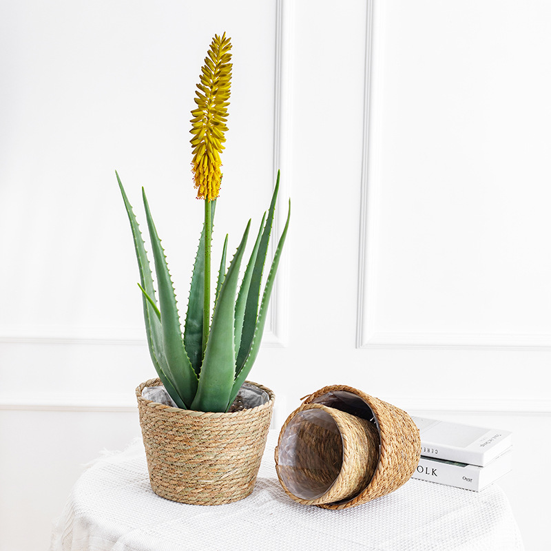 Natural Woven Flower Basket St - Aloe Vera Pot recensione e prezzo