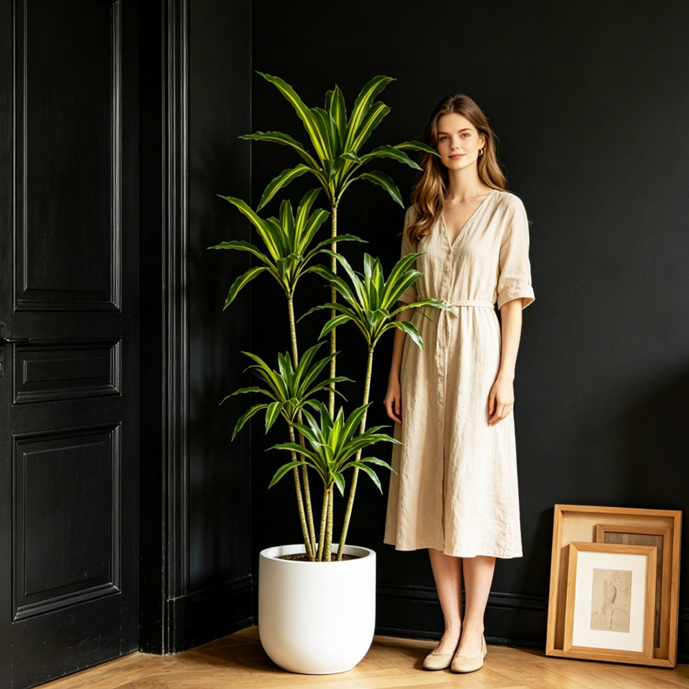 80-165cm Large Artifcial Draca - Dracaena Marginata recensione e prezzo