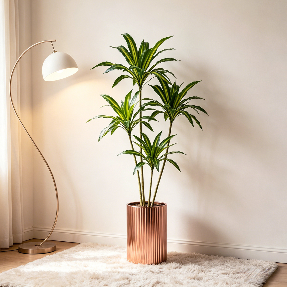 80-165cm Large Artifcial Draca - Dracaena Marginata recensione e prezzo