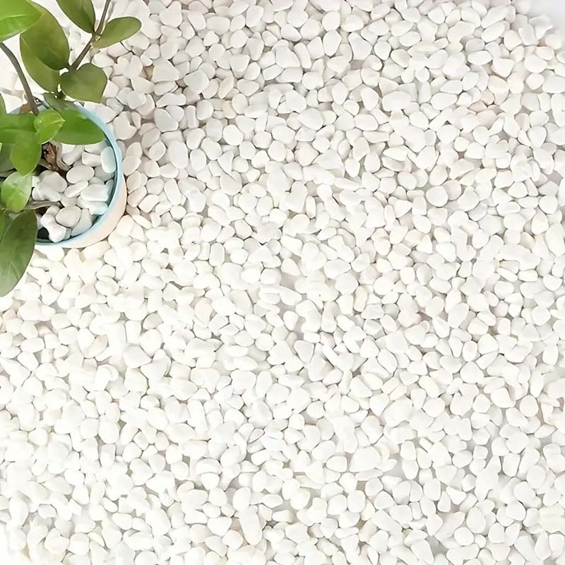 White Pebbles Decorative Stone - Echeveria Succulent recensione e prezzo