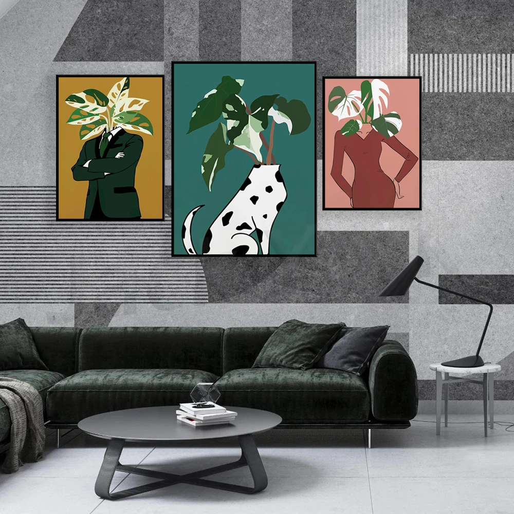 Monstera Albo in a burgundy dr - Monstera Adansonii recensione e prezzo