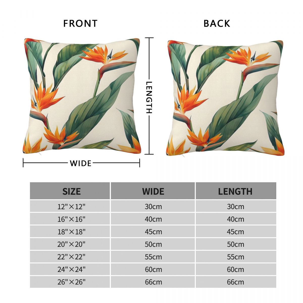Bird Of Paradise Strelitzia Sq - Bird Paradise Strelitzia recensione e prezzo