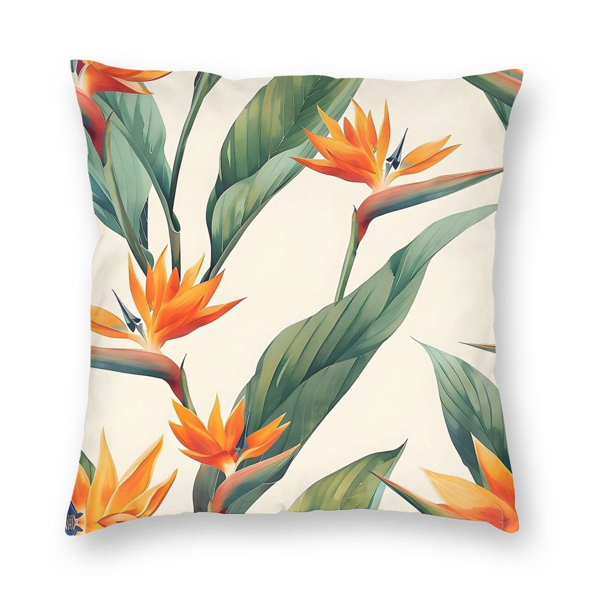 Bird Of Paradise Strelitzia Sq - Bird Paradise Strelitzia recensione e prezzo