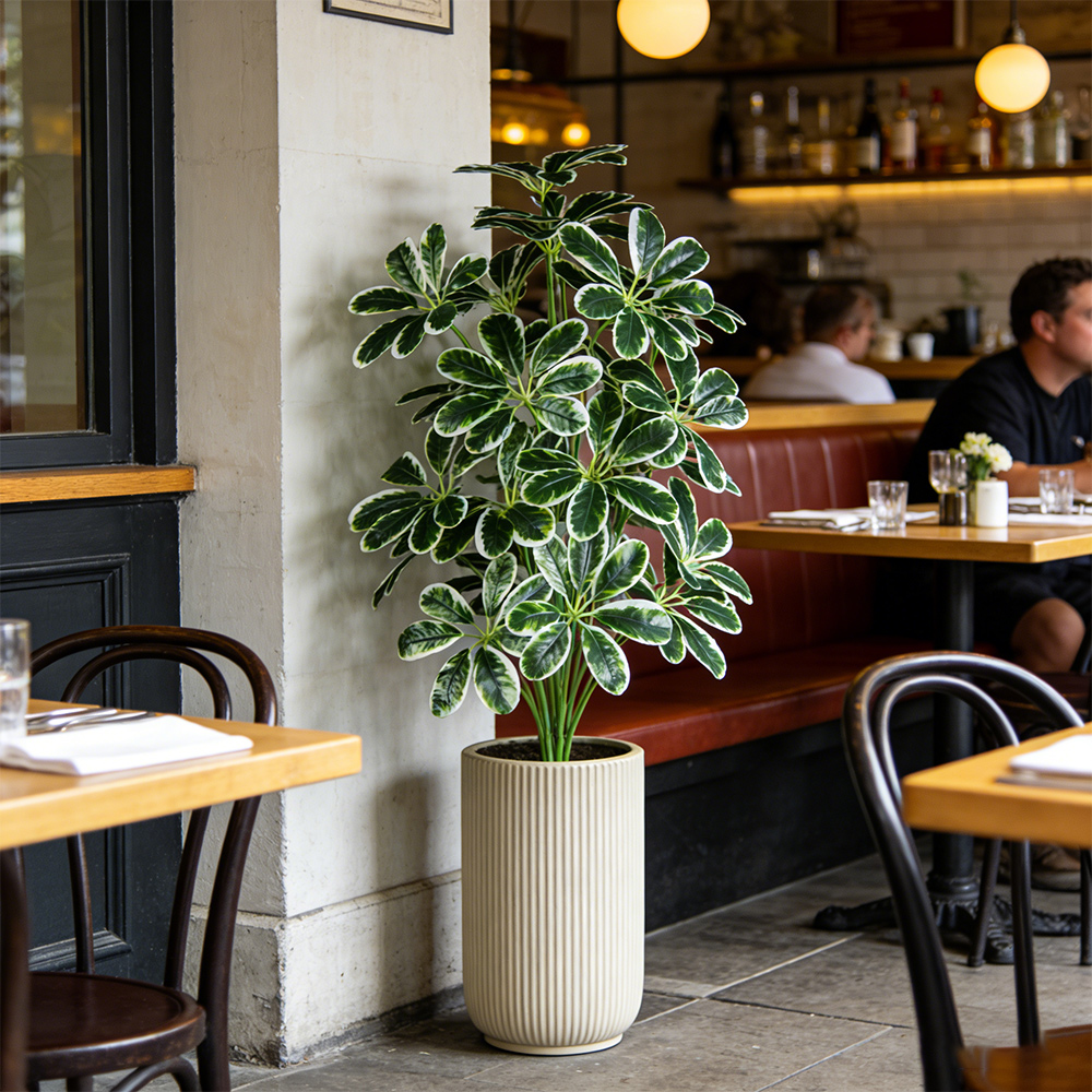 50-75cm Artifficial Maranta Pl - Dracaena Marginata recensione e prezzo