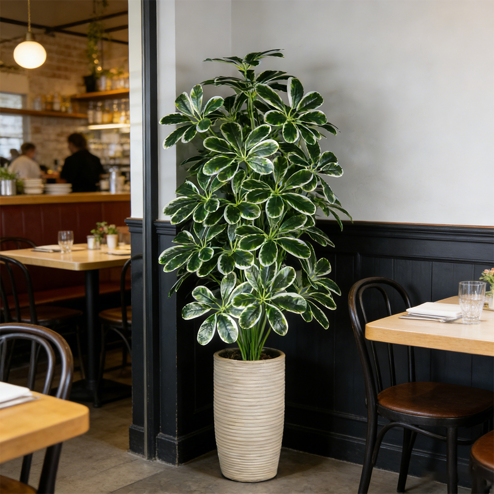 50-75cm Artifficial Maranta Pl - Dracaena Marginata recensione e prezzo