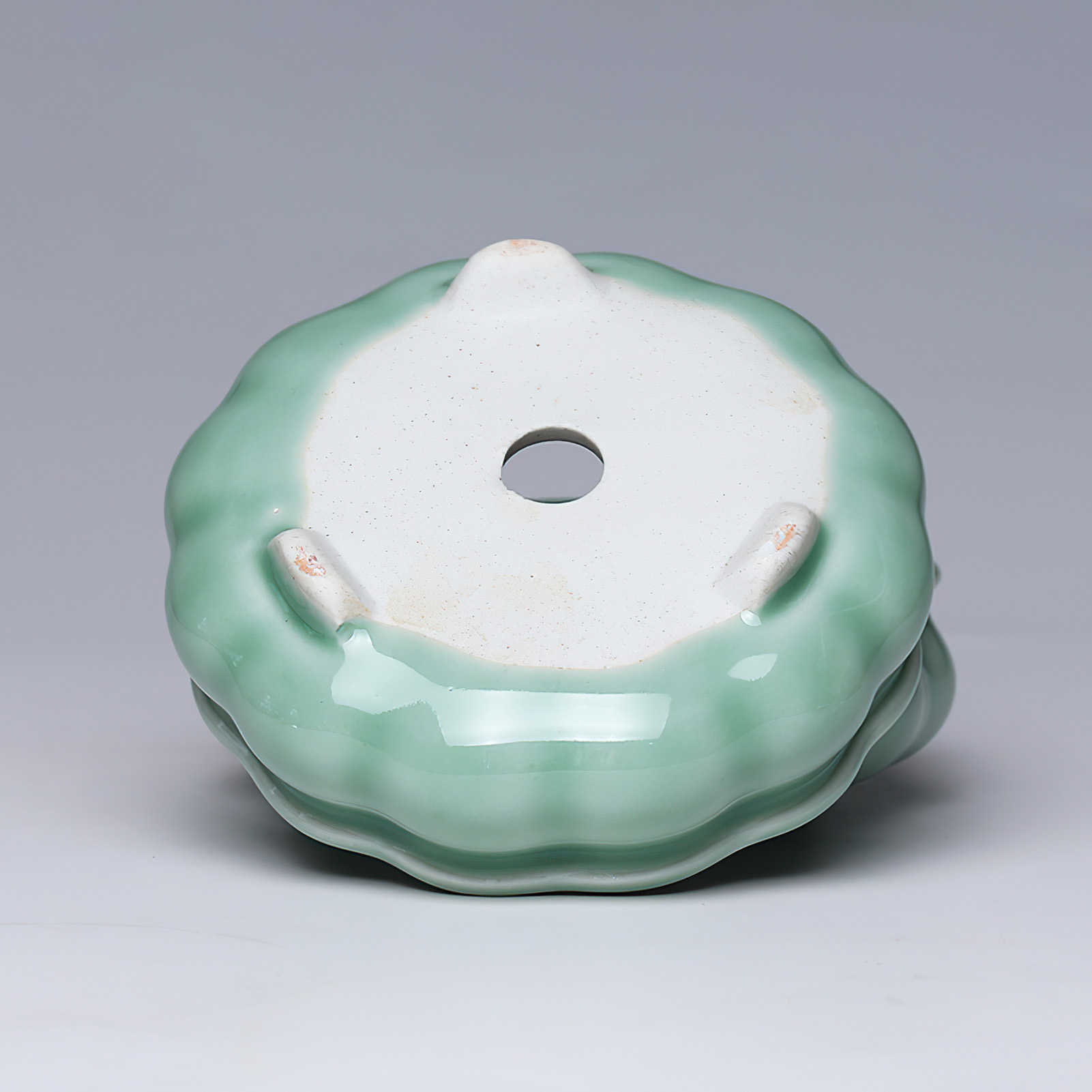 Creative Hand-made Ceramic Flo - Pilea Peperomioides recensione e prezzo