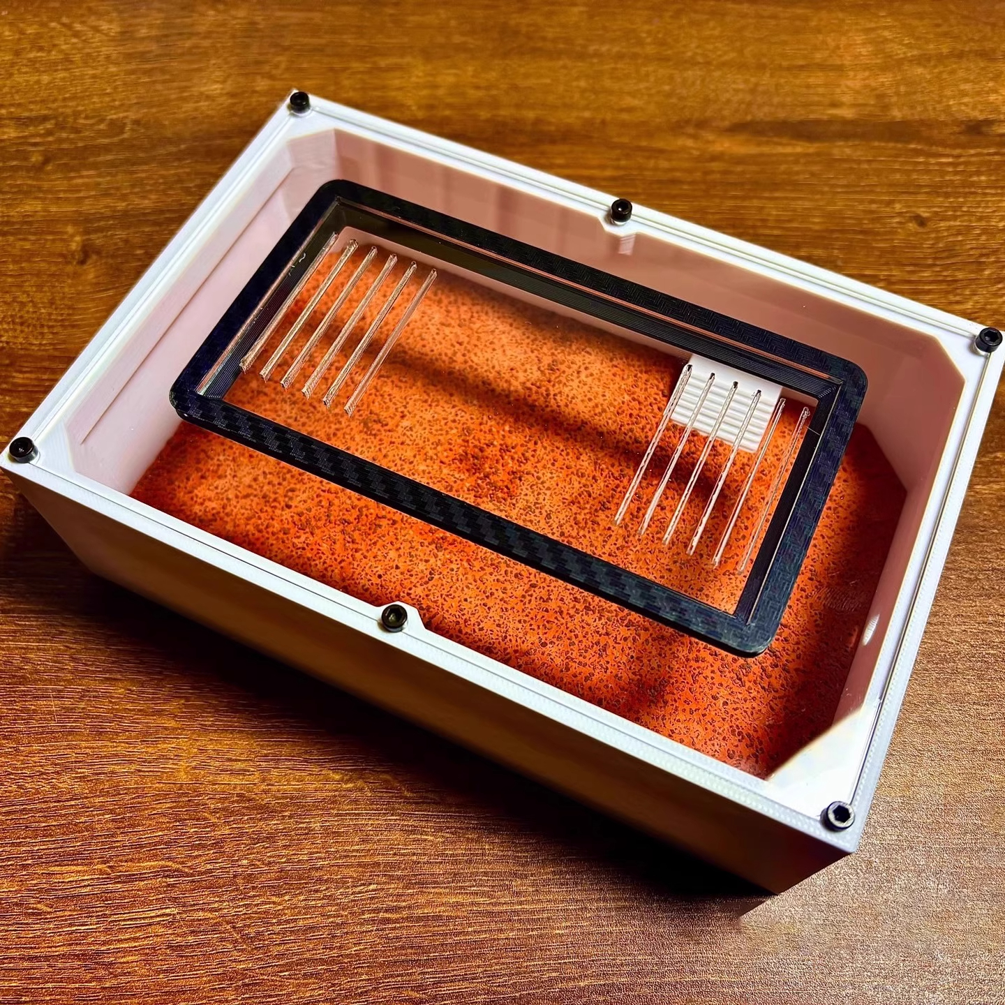 Ant Farm mini CC with External - Begonia Rex recensione e prezzo