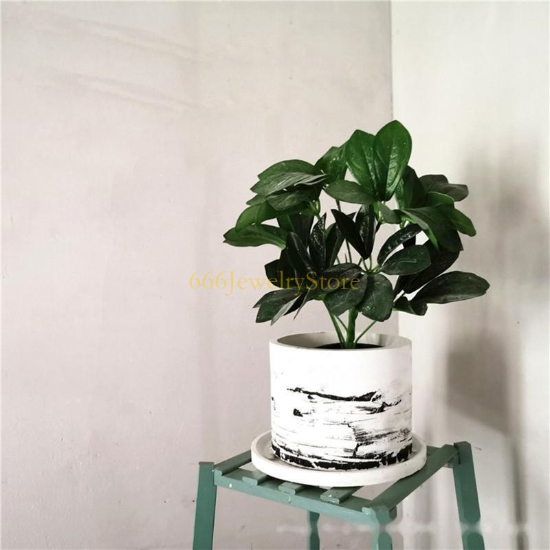 F2TD Large Round Concrete Flow - Echeveria Succulent recensione e prezzo