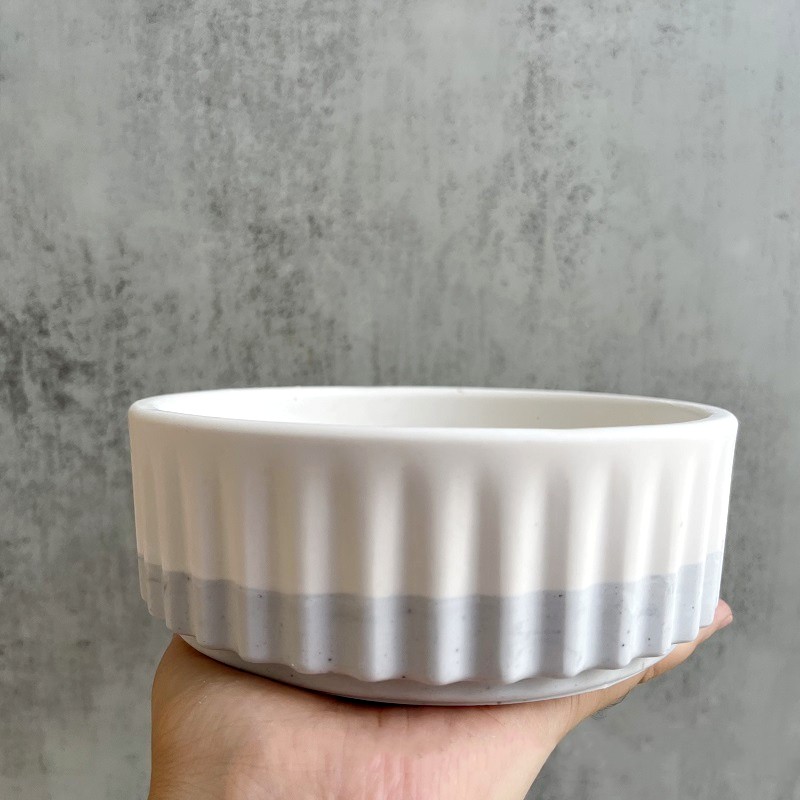 Stripe Flowerpot Silicone Mold - Echeveria Succulent recensione e prezzo