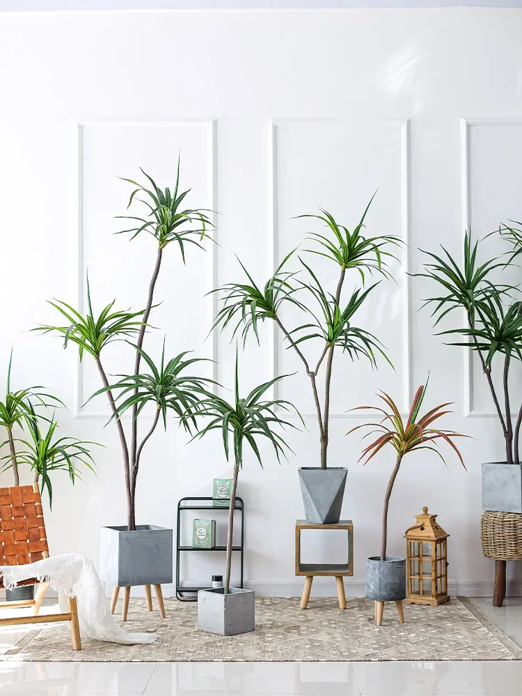 Simulation Plant Dracaena Marg - Dracaena Marginata recensione e prezzo