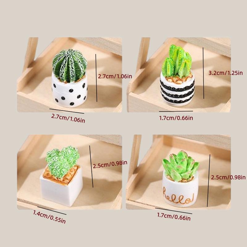 4-Piece Set of Cactus Succulen - Echeveria Succulent recensione e prezzo