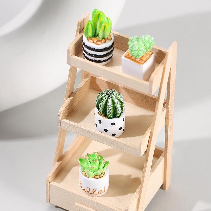 4-Piece Set of Cactus Succulen - Echeveria Succulent recensione e prezzo