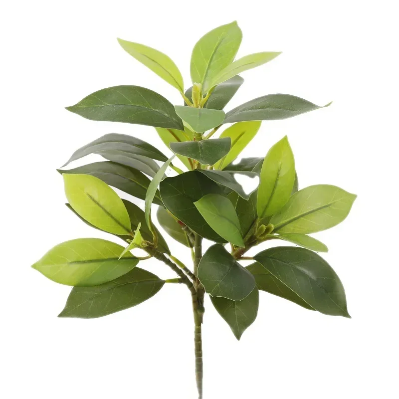 Plastic Artificial Color-chang - Dracaena Marginata recensione e prezzo